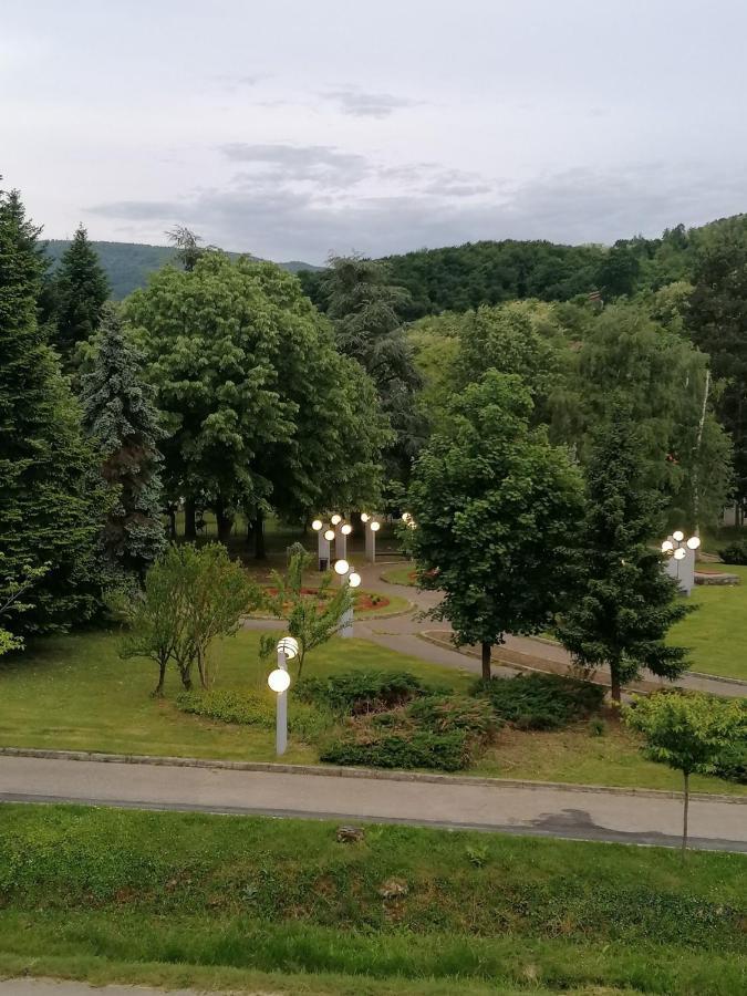 KoKo apartman Vrnjacka Banja Bagian luar foto
