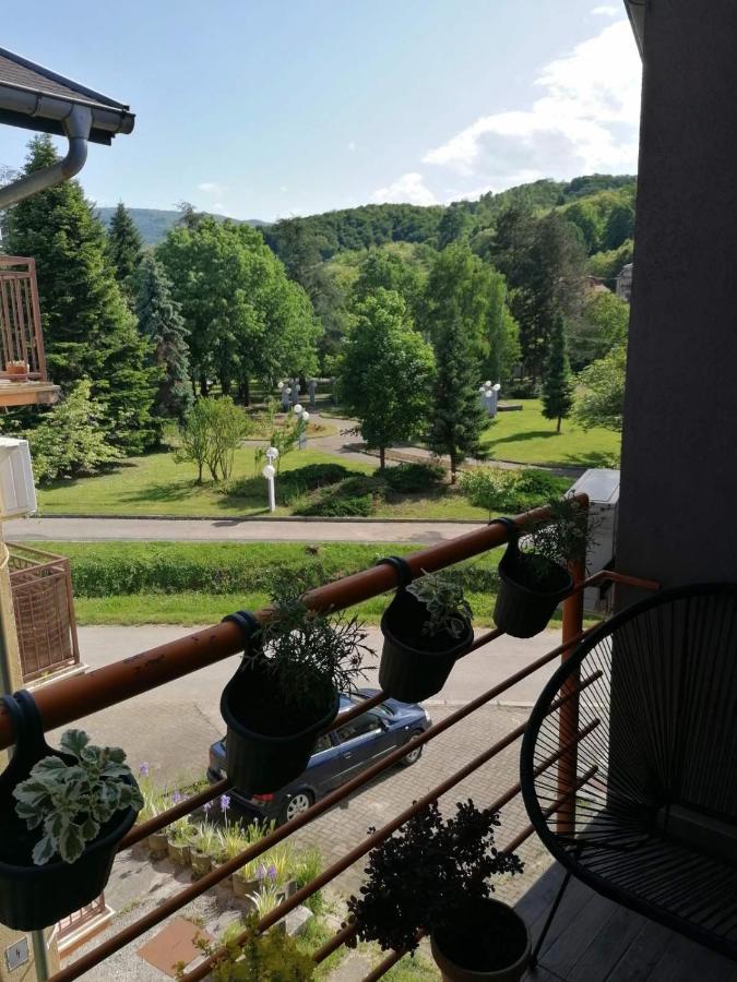 KoKo apartman Vrnjacka Banja Bagian luar foto