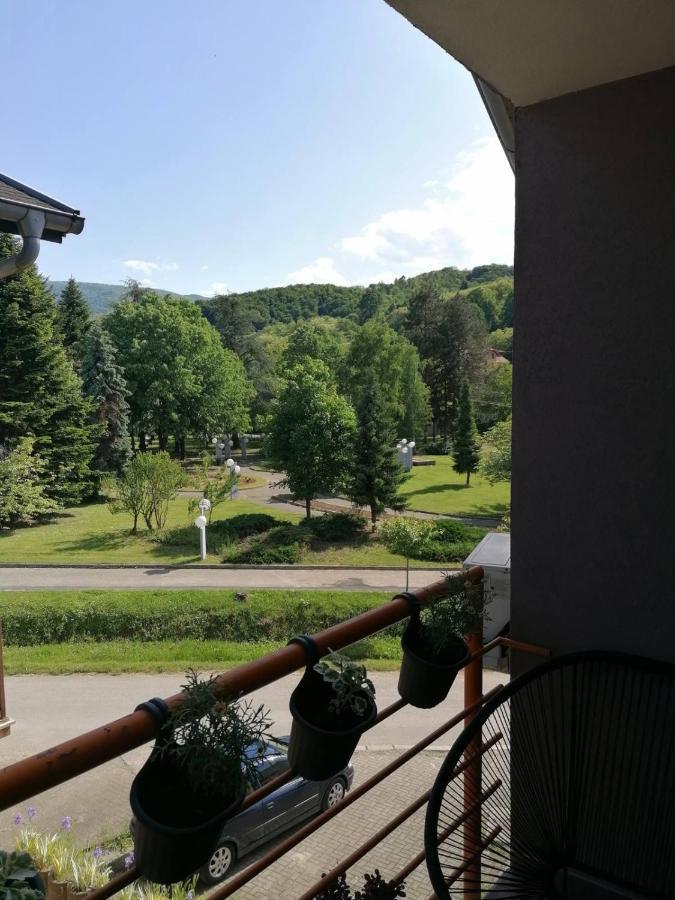 KoKo apartman Vrnjacka Banja Bagian luar foto